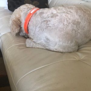 Meet your Posher, Carole